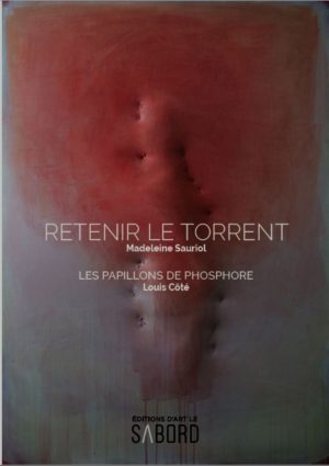 Retenir le torrent | Les papillons de phosphore