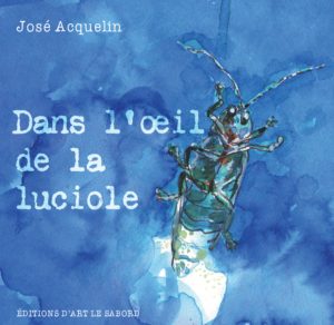 Dans l'œil de la luciole