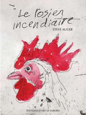 Le rosier incendiaire