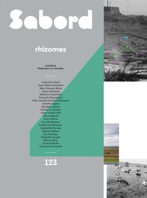 123 • rhizomes
